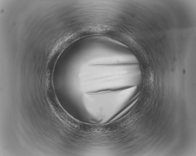 X0000052580736200507221543