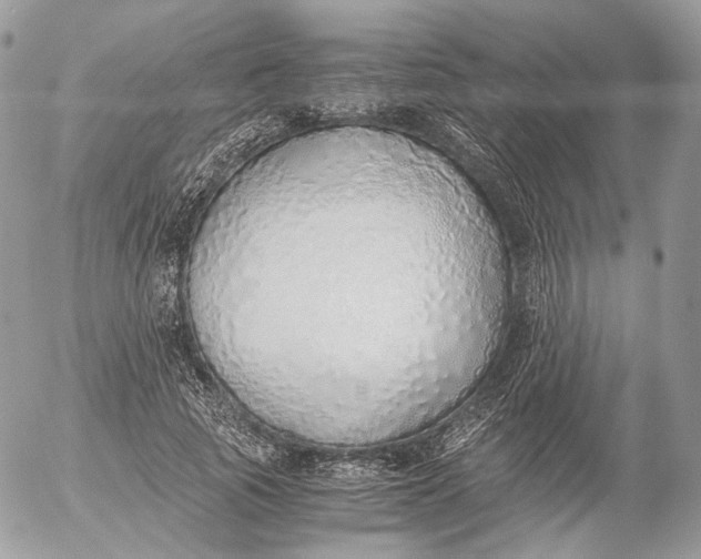 X0000052580737200507221543