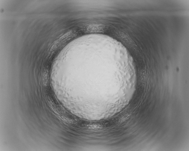 X0000052580741200507221543