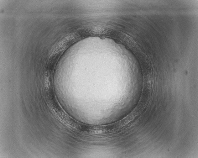 X0000052580746200507221543
