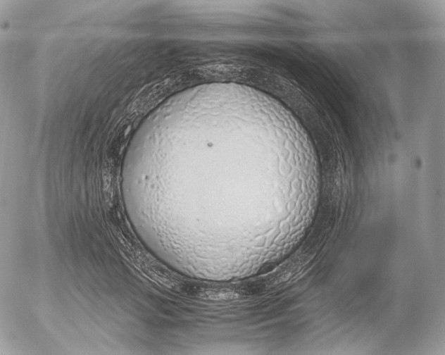 X0000052580749200507221543