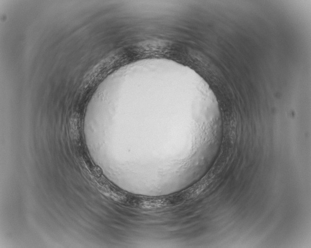 X0000052580757200507221543
