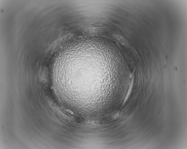 X0000052580760200507221543