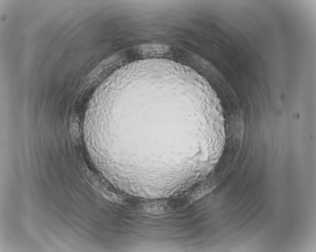 X0000052580761200507221543