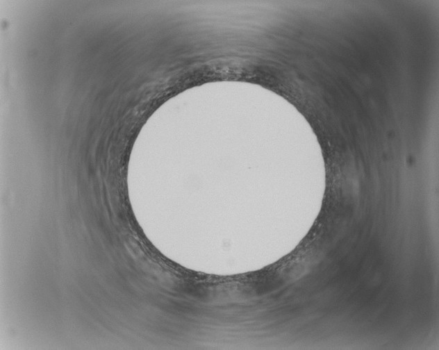 X0000052580769200507221542