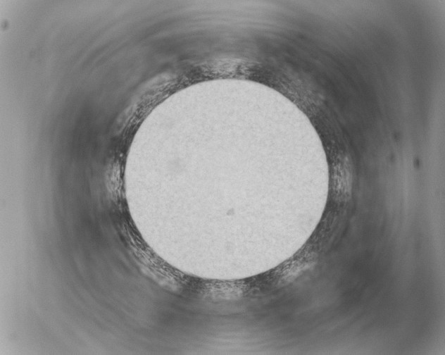 X0000052580820200507221541