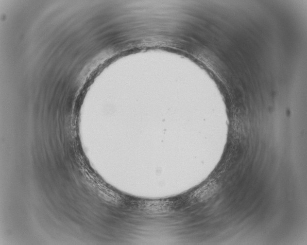 X0000052580832200507221541