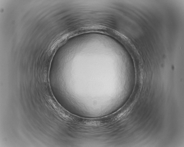 X0000052580833200507221541
