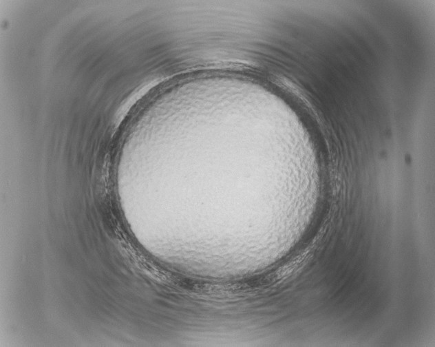 X0000052580875200507221541