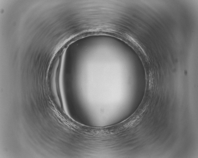 X0000052580876200507221540