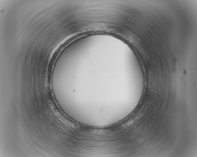 X0000052580880200507221540