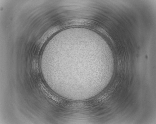 X0000052580882200507221540