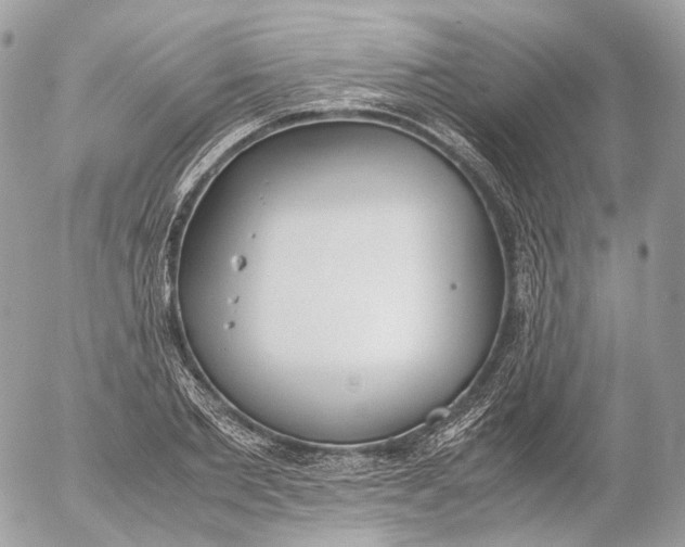 X0000052580885200507221540