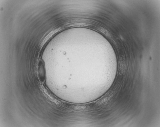 X0000052580890200507221540