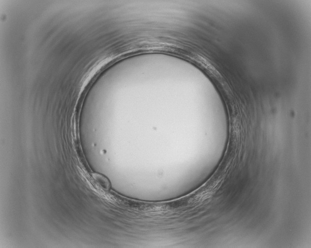 X0000052580891200507221540