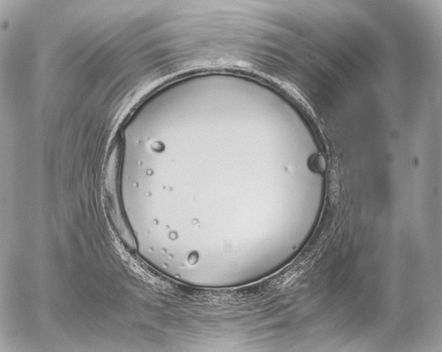 X0000052580895200507221540