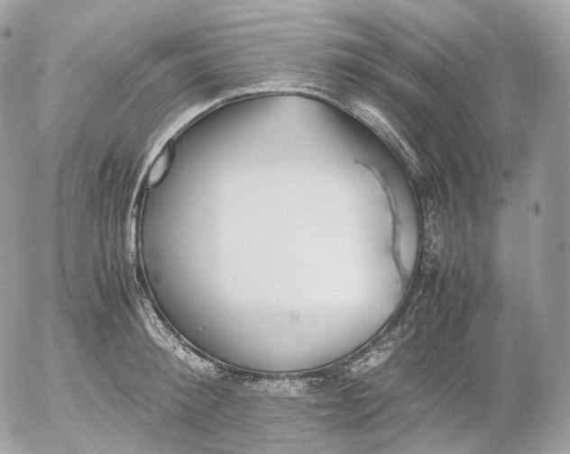 X0000052580900200507221540