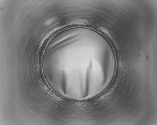 X0000052580923200507221539