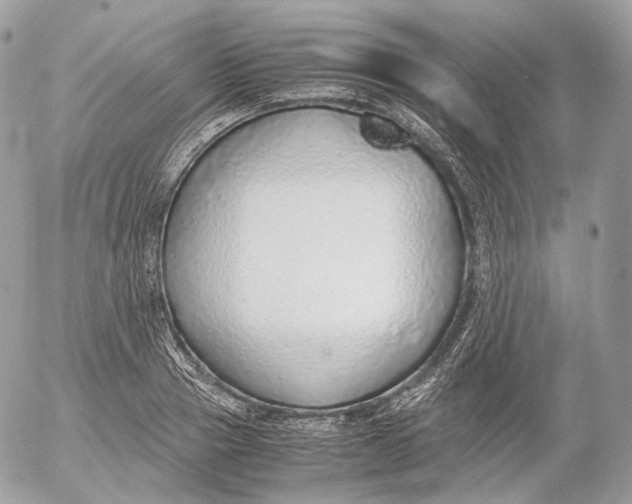 X0000052580937200507221540