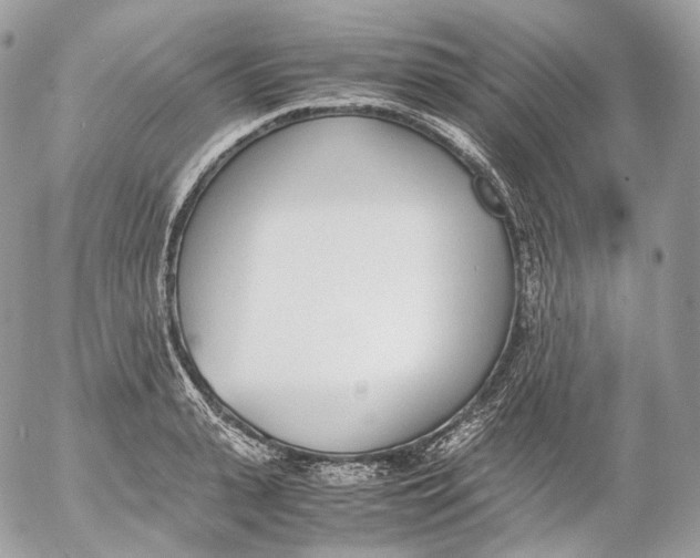 X0000052580943200507221540