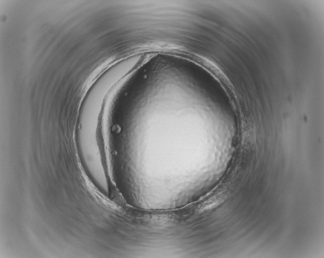 X0000052580946200507221540