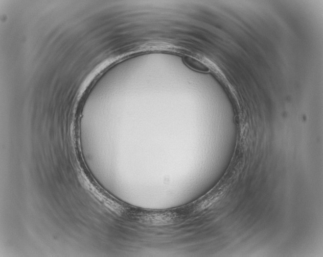 X0000052580947200507221540