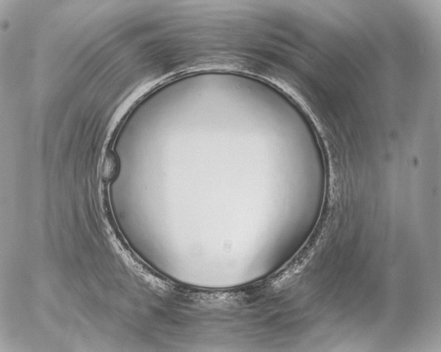 X0000052580949200507221540