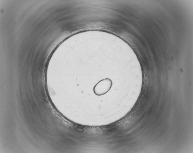 X0000052580950200507221540