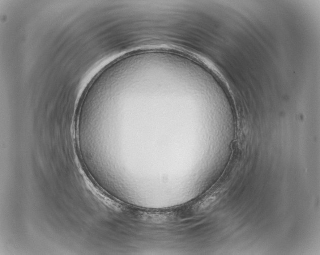 X0000052580951200507221540