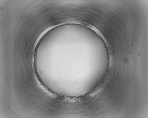 X0000052580955200507221540