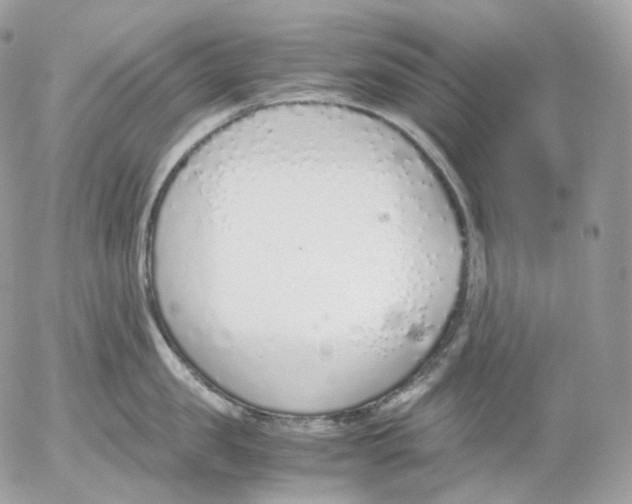 X0000052580957200507221540