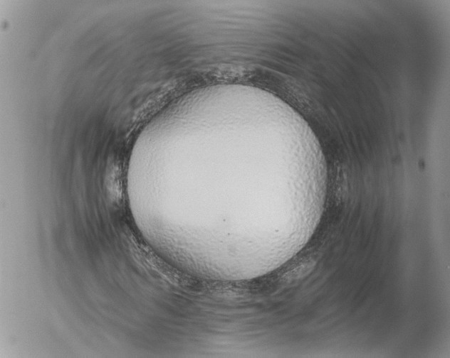 X0000052580962200507221539