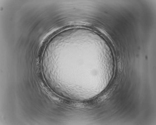X0000052580971200507221539