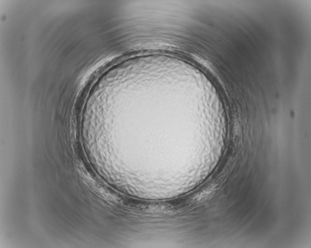 X0000052580979200507221539