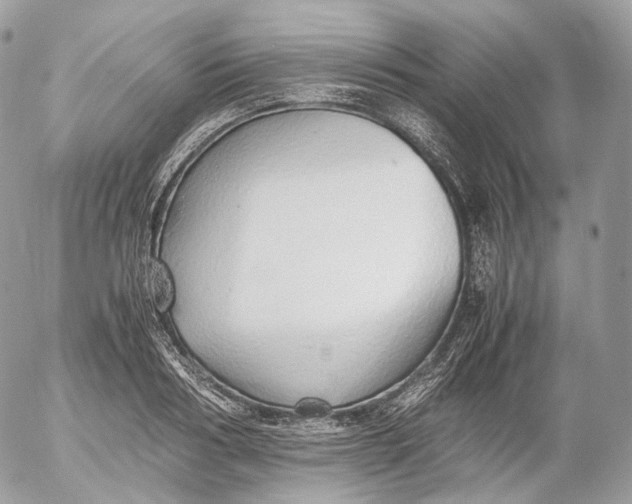 X0000052580986200507221539
