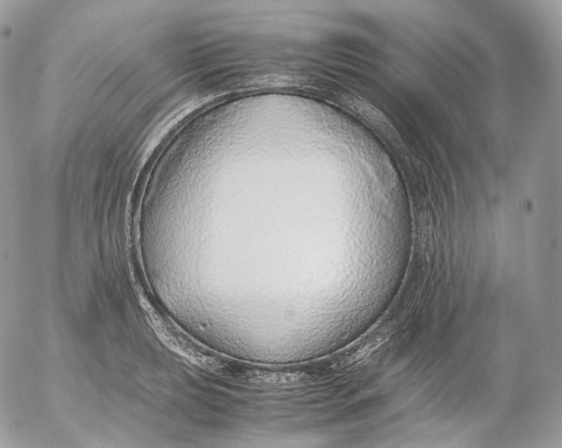 X0000052581039200507221538