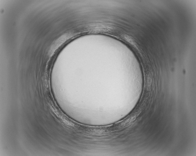 X0000052581071200507221537