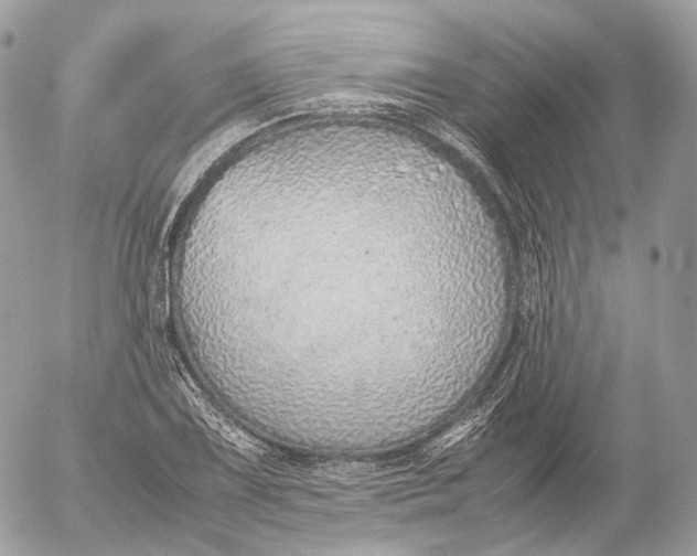 X0000052581075200507221537