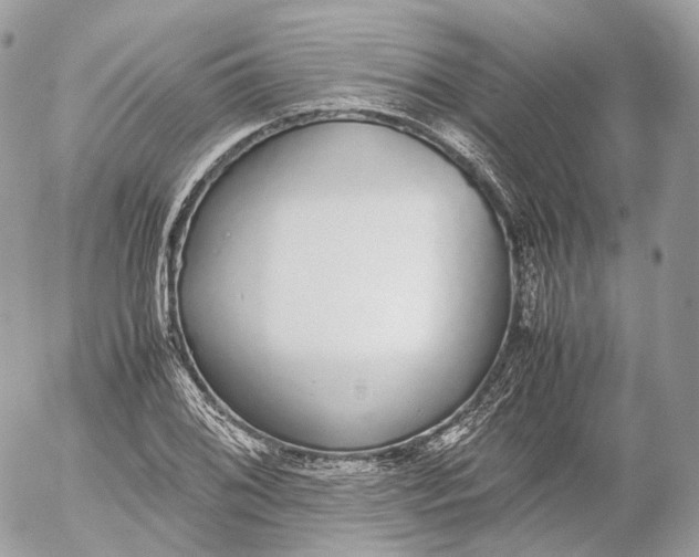X0000052581076200507221537