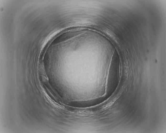 X0000052581077200507221537