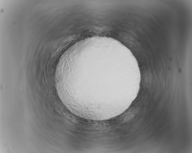 X0000052581105200507221536