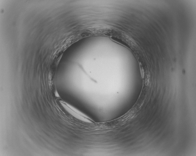 X0000052581108200507221536