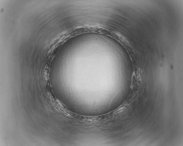 X0000052581110200507221536