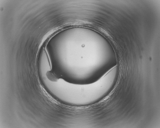 X0000052581122200507221536