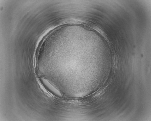 X0000052581128200507221536