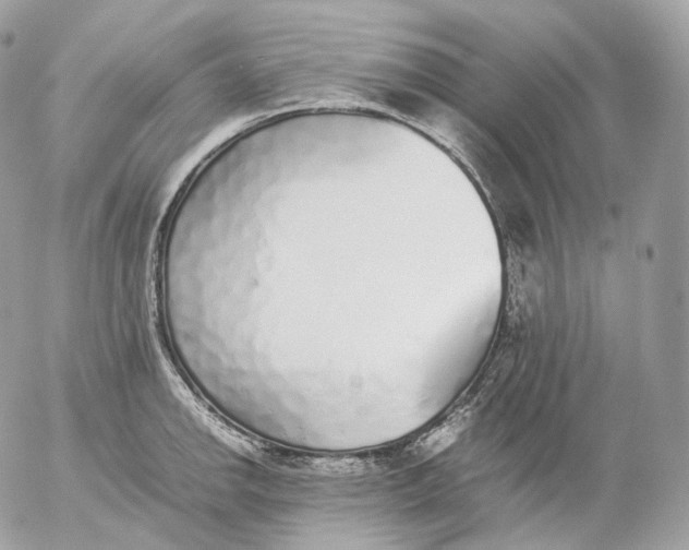X0000052581142200507221536