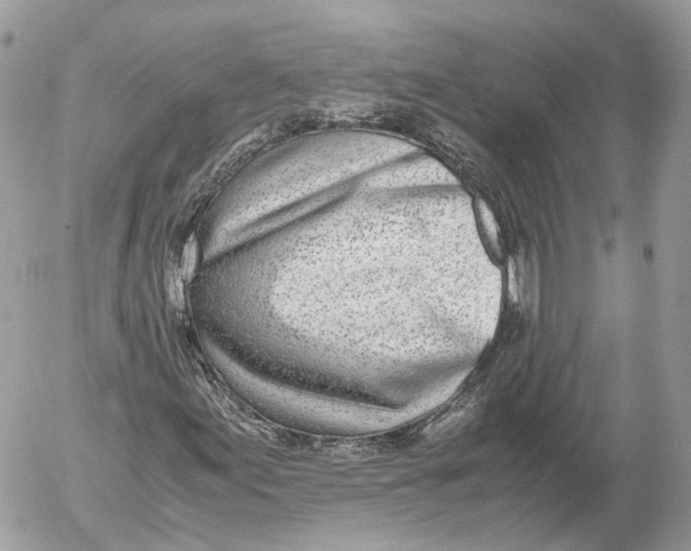 X0000052581155200507221536