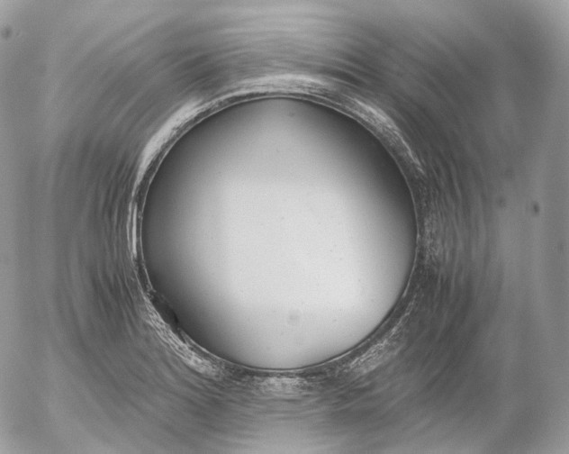 X0000052581180200507221535