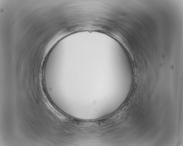 X0000052581187200507221535