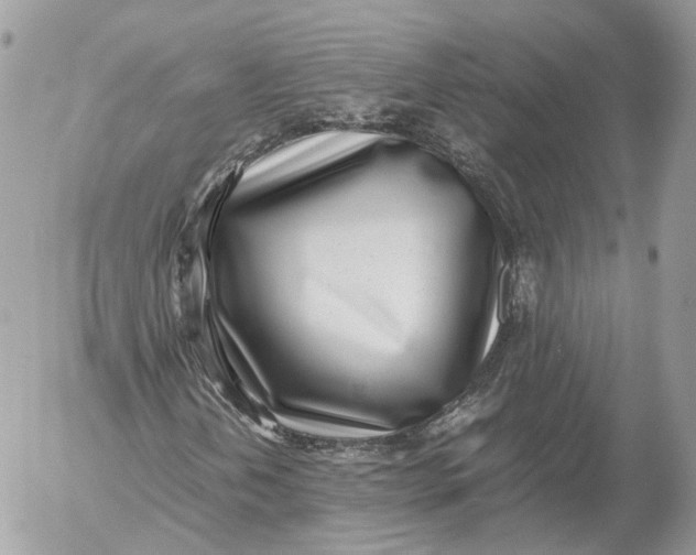 X0000052581202200507221534